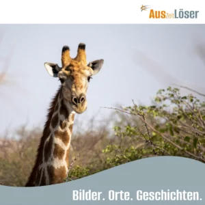 Reiseblog Auszeitlöser von Stefan Lamb